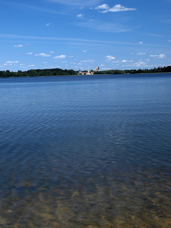 Берег озера за Гидрологическим институтом